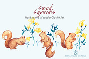 Sweet Squirrels -Huge Watercolor Set, an Animal Illustration by SmallHouseBigPony (Thumbnail 8 of 14)