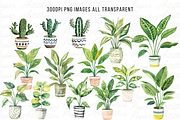 House Plants Clipart Potted Plants, a Decorative Illustration by Paper Artsthetics (Thumbnail 4 of 8)