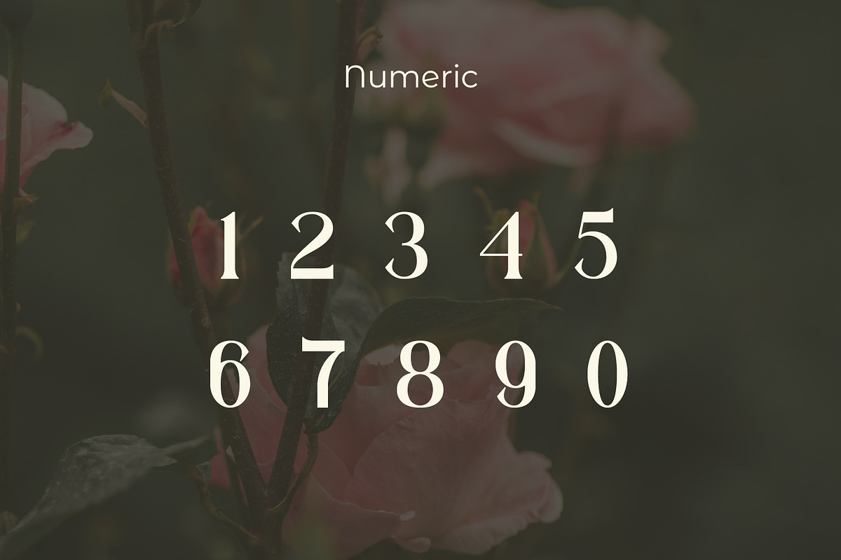 Realugi, a Serif Font by Rishsketch (Photo 10 of 13)
