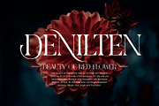KUINCA Modern Ligature Serif, a Serif Font by Alfinart (Thumbnail 3 of 8)