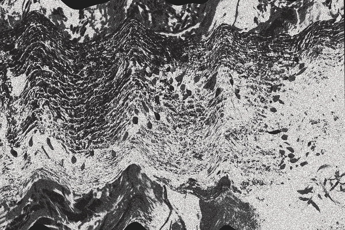Twisted by Nature Vol 3, a Texture Graphic by Jennifer Lauren Creative (Photo 12 of 16)