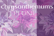 Pattern Peonies and Chrysanthemums, a Pattern Graphic by Yana Dobrik (Thumbnail 9 of 11)