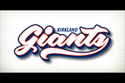Aloha Script, a Script Font by Borges Lettering (Thumbnail 3 of 3)
