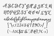 Alyfe, a Script Font by Digital Typeface Studio (Thumbnail 2 of 5)