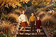 Autumn Photography Digital Backdrops, a Background Graphic by 3Motional (Thumbnail 8 of 19)