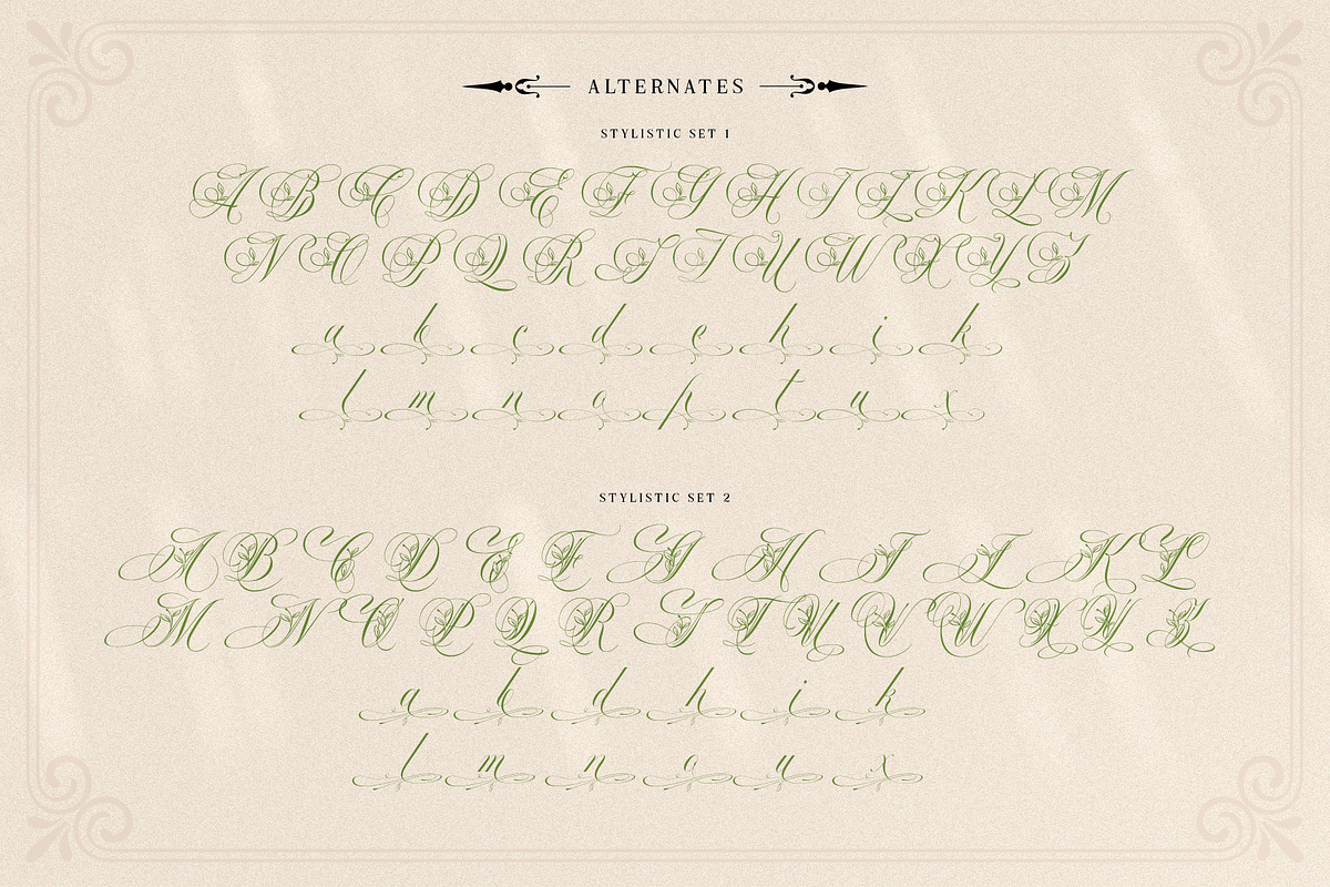 Mollani Nature Script, a Script Font by alit design (Photo 7 of 20)