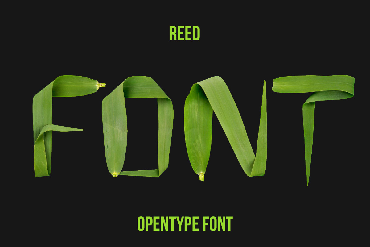 Reed Font, a Font by Handmadefont (Photo 1 of 9)