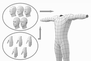 Natural Male T-Pose in 5 Topologies, a 3D by VK Studio (Thumbnail 21 of 21)