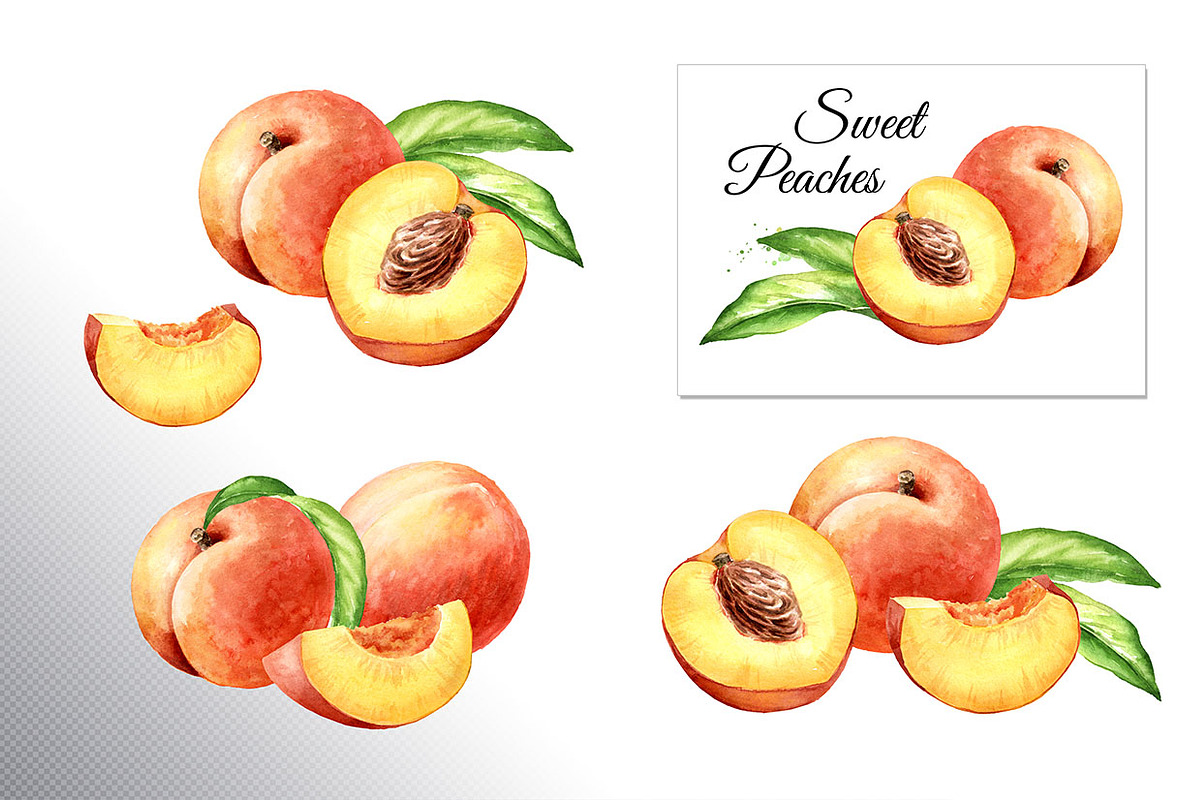 Honey Peaches. Original Watercolor, a Food Illustration by Daria Ustiugova (Photo 6 of 21)