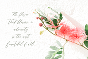 Palm Desert Modern Calligraphy Font, a Script Font by Beck McCormick (Thumbnail 4 of 10)