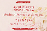 Arionna - Modern Calligraphy Font, a Script Font by StringLabs (Thumbnail 5 of 6)
