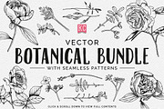 Vector Botanical Illustrations, an Illustration by Katy Clemmans (Thumbnail 8 of 8)