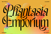 TAN - ALLEGORY, DUO FONT, a Serif Font by TanType (Thumbnail 5 of 10)