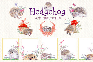 Hedgehog Watercolor Clipart