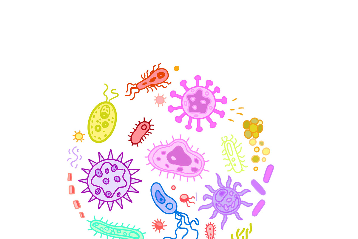Biology & Anatomy goodnotes stickers, an Education Illustration by Noorist (Photo 24 of 32)