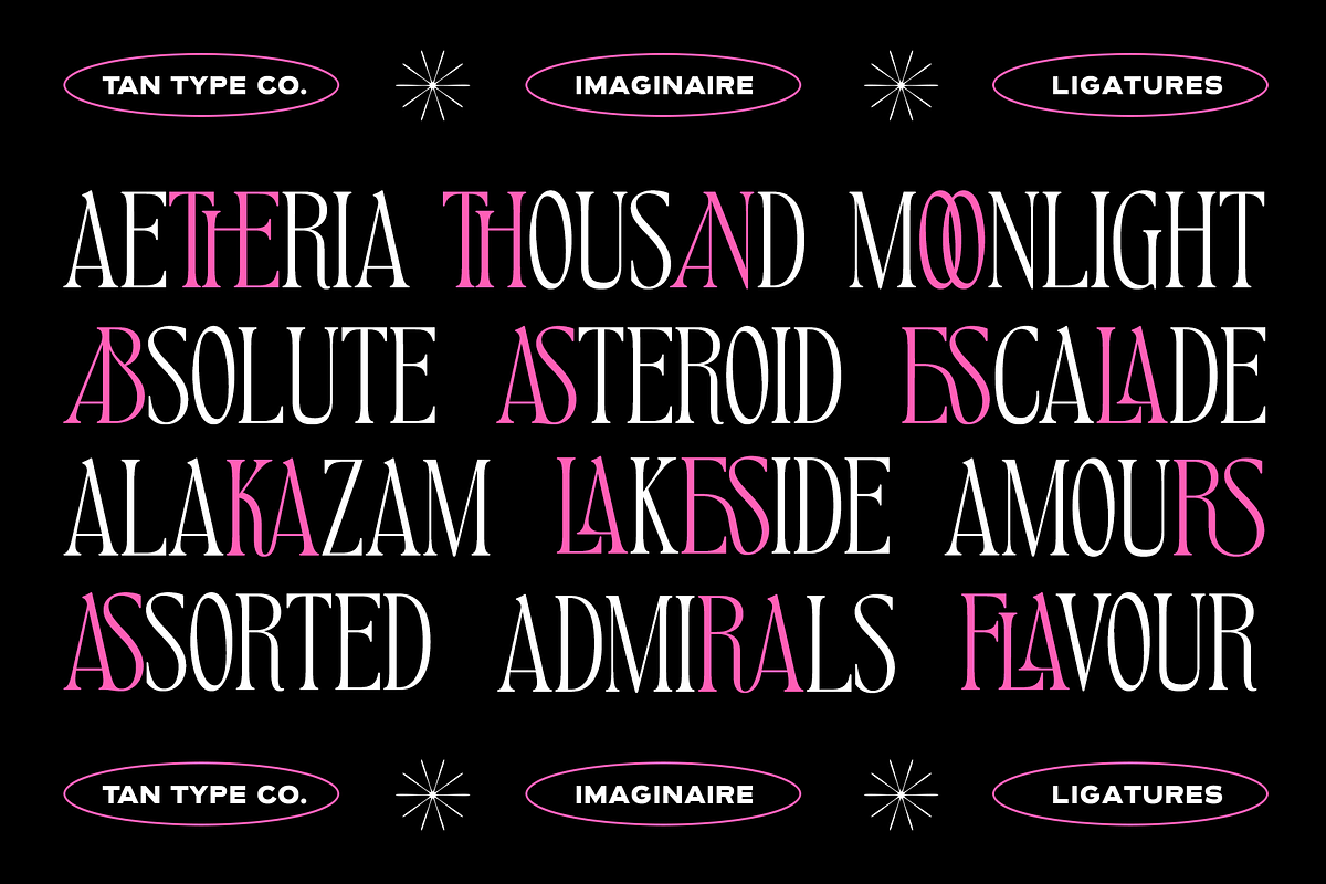 TAN - IMAGINAIRE, a Serif Font by TanType (Photo 11 of 12)