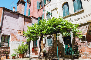Cozy yard with grape tree in Venice, an Architecture Photo by BOOCYS