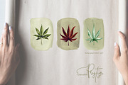 XL files - Watercolor Cannabis Set, an Object Graphic by Jeanina Vlad (Thumbnail 14 of 17)