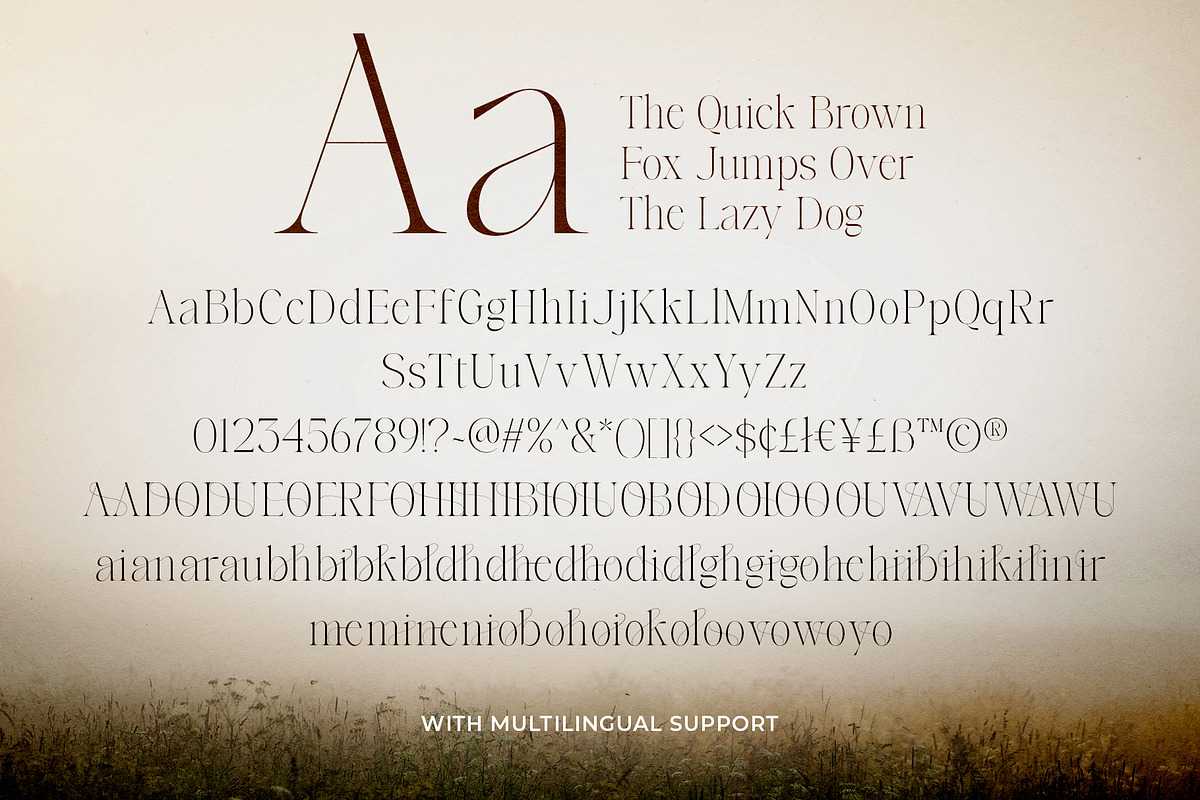 Lamire Modern - Light Ligature Serif, a Serif Font by Bale Type (Photo 10 of 10)