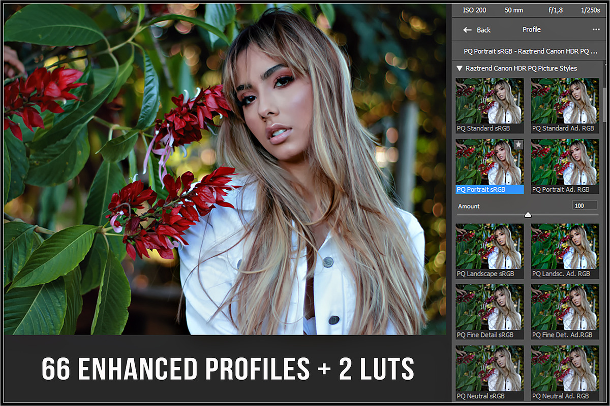 Canon HDR PQ Picture Styles, a Plug-in Add-On by Raztrend (Photo 2 of 30)
