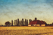 16 fineart landscape textures, a Texture Graphic by dyrkwyst textures (Thumbnail 3 of 3)