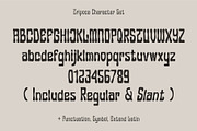 Tripoca – Handcrafted Display Font, a Handwritten Font by Panatype™ Studio (Thumbnail 4 of 9)