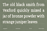 Inkquest - Rough Vintage Slab Serif, a Slab Serif Font by Typia Nesia (Thumbnail 10 of 12)