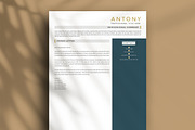 Minimal Resume Template, a Resume Template by paulresume (Thumbnail 3 of 4)