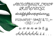 Oh Azalea Script Font, a Script Font by theinkaffair (Thumbnail 6 of 6)