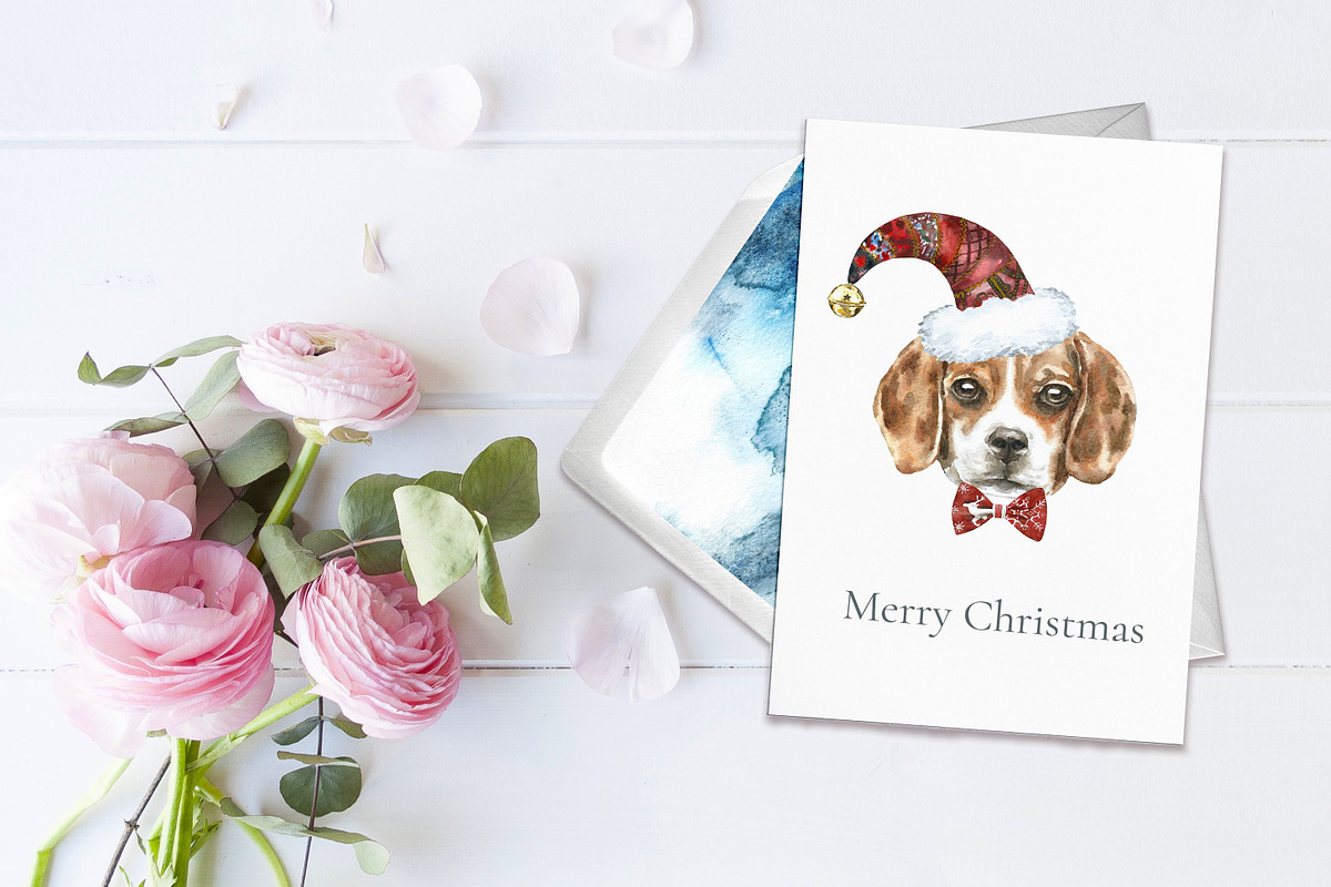 Christmas Character Dogs & Cats, an Animal Illustration by Catherine Wheel (Photo 18 of 23)