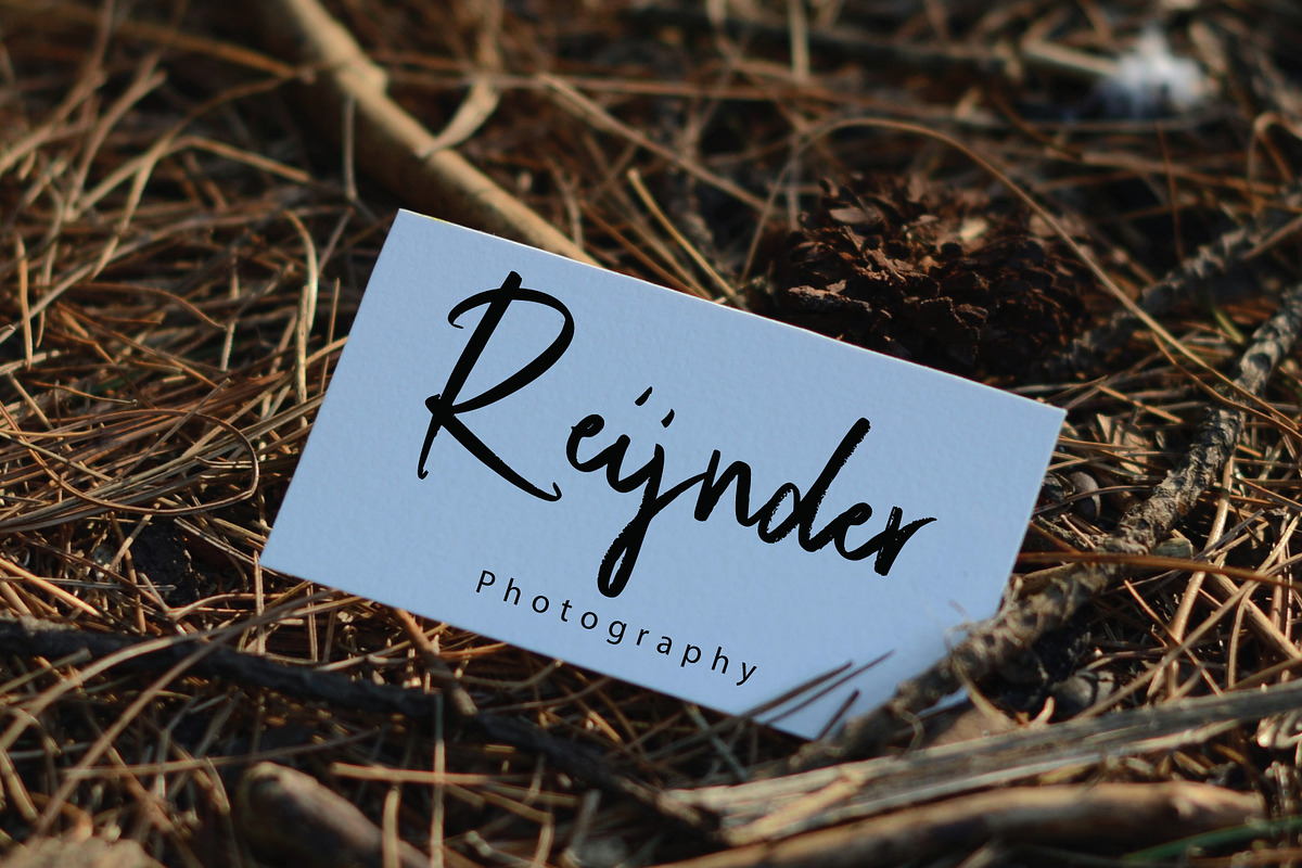 Staqila Signature, a Handwritten Font by Eltypesstudio (Photo 4 of 11)