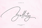 Zallety Signature, a Script Font by danti (Thumbnail 1 of 11)