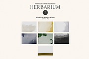 Herbarium: Pressed Dry Flowers vol.1, a Decorative Illustration by AnaPierceArt (Thumbnail 5 of 12)