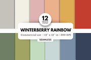 12 Winterberry Rainbow Solid Colors, a Background Graphic by NorthWindPixels (Thumbnail 1 of 4)