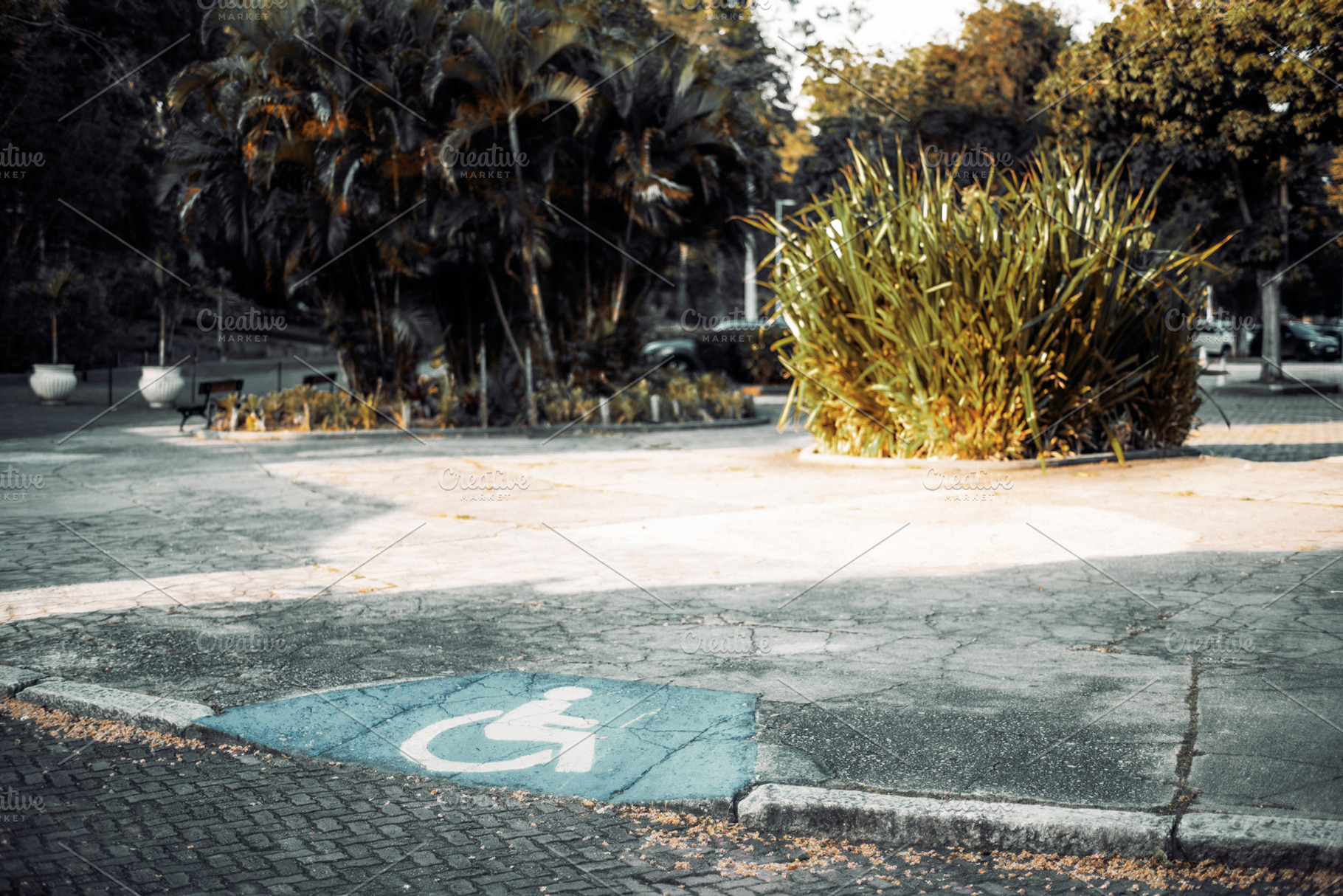 Accessible parking space, a Transportation Photo by SkyNext