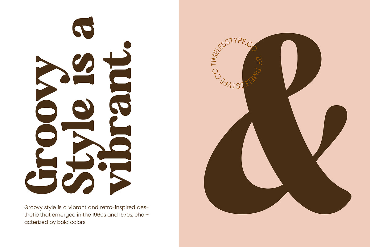 Regina Morise Classy Retro Serif, a Serif Font by timelesstype.co (Photo 14 of 20)