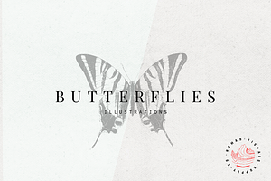 Butterflies Illustrations