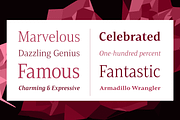 Mandrel, a Serif Font by insigne (Thumbnail 4 of 5)