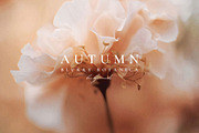 Autumn Blurry Floral Backgrounds, a Background Graphic by Altea Design Studio (Thumbnail 8 of 15)