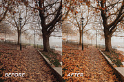 15 Pumpkin Lightroom Presets, a Preset Add-On by TheWayfarerShoppe (Thumbnail 4 of 8)