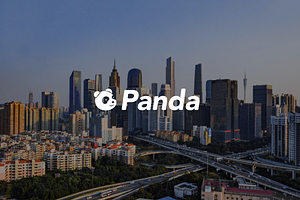 Panda Logo Design