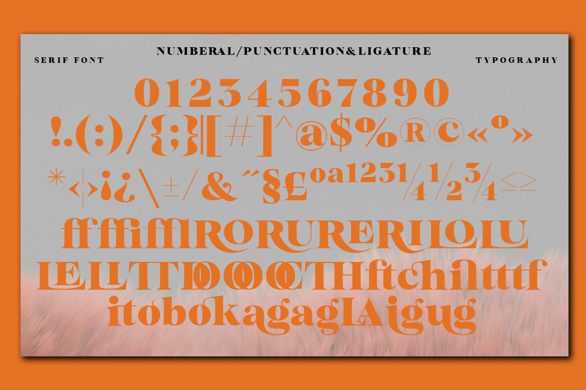 Bailsun, a Serif Font by Gatype (Photo 8 of 10)