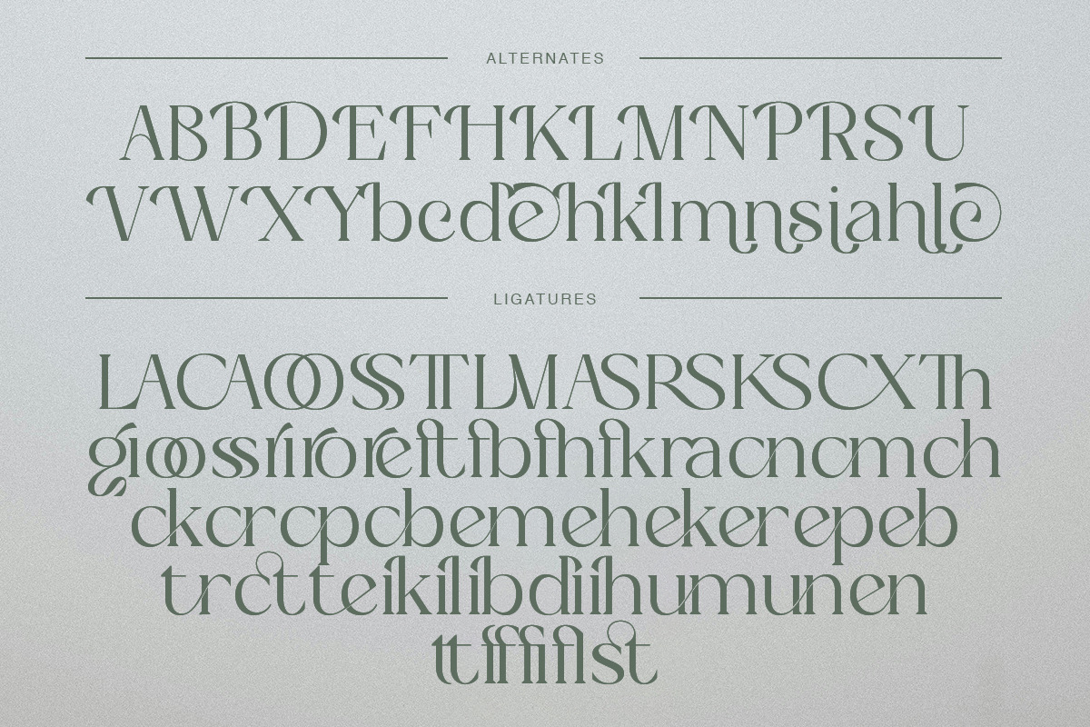 Bagien Modern Stylish Serif Font, a Serif Font by Eternity Studio (Photo 8 of 10)