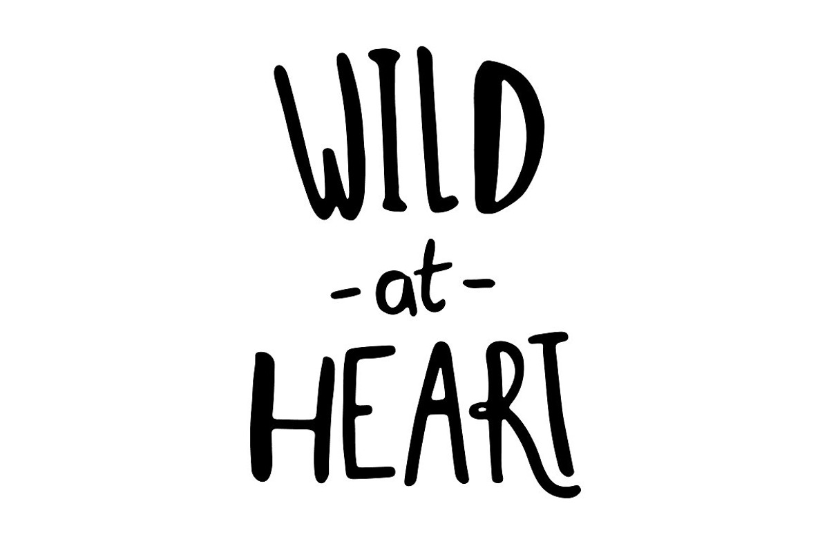 Script font Whippin Piccadilly, a Script Font by Itsmesimon (Photo 7 of 12)