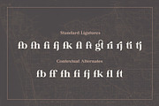 Rolfter - Classic Serif, a Serif Font by AlienValley (Thumbnail 2 of 9)
