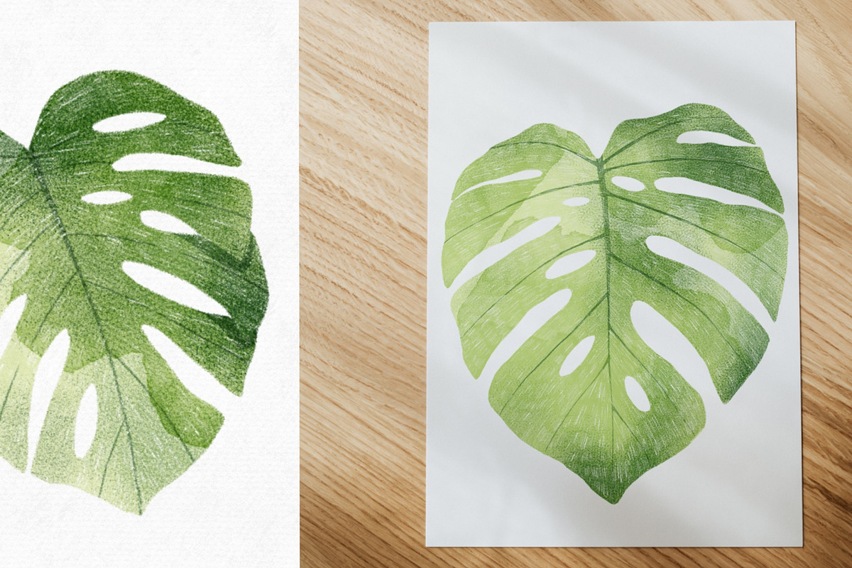 4 Monstera Botanical Illustrations, an Object Graphic by Helga Wigandt (Photo 3 of 5)