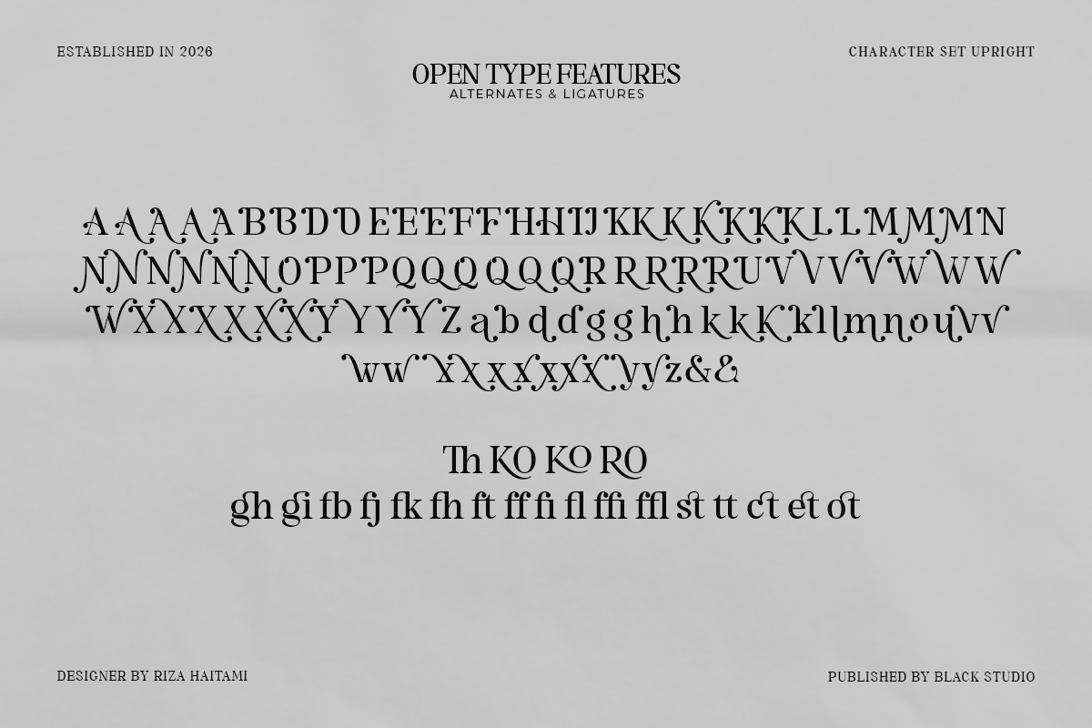 The Serifon Editorial, a Serif Font by Black Studio (Photo 16 of 17)