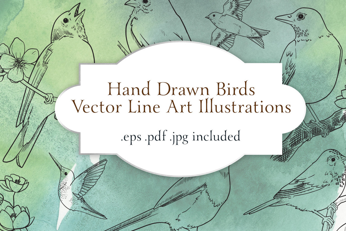 Vector Bird Line Art Illustrations, an Illustration by MyNatureGraphics (Photo 1 of 4)