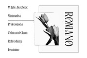 Holscher - Modern Serif Font, a Serif Font by Almeera Std (Thumbnail 3 of 9)