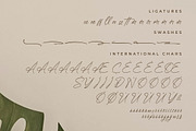 Qedgan Mellodysta A Modern Font Duo, a Serif Font by Storytype Studio (Thumbnail 12 of 15)